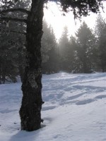Plateau de beille - Ariège