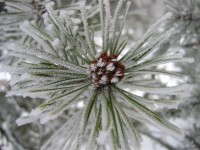 Plateau de beille - Ariège