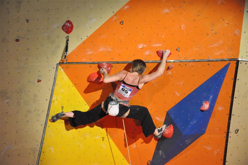 Championnat de France senior de difficulté d'escalade 2009