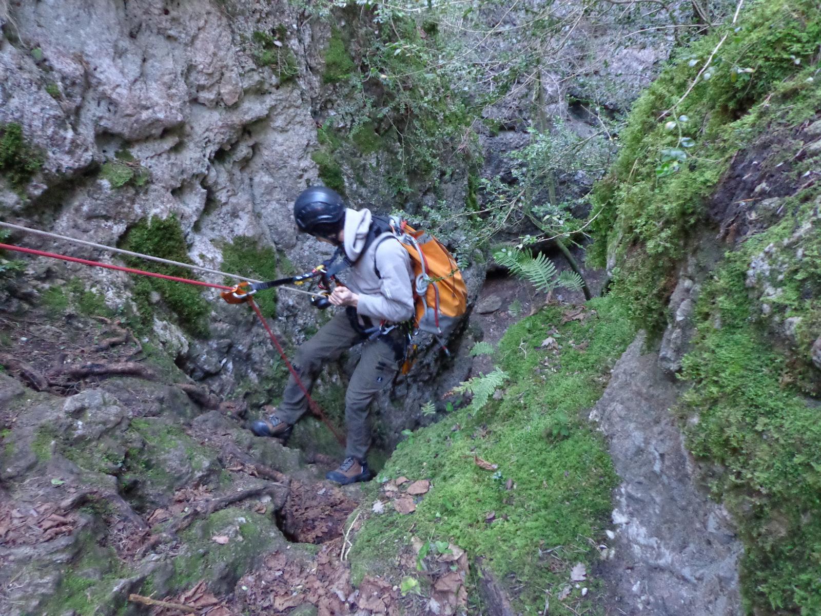 Paysager du Vertical