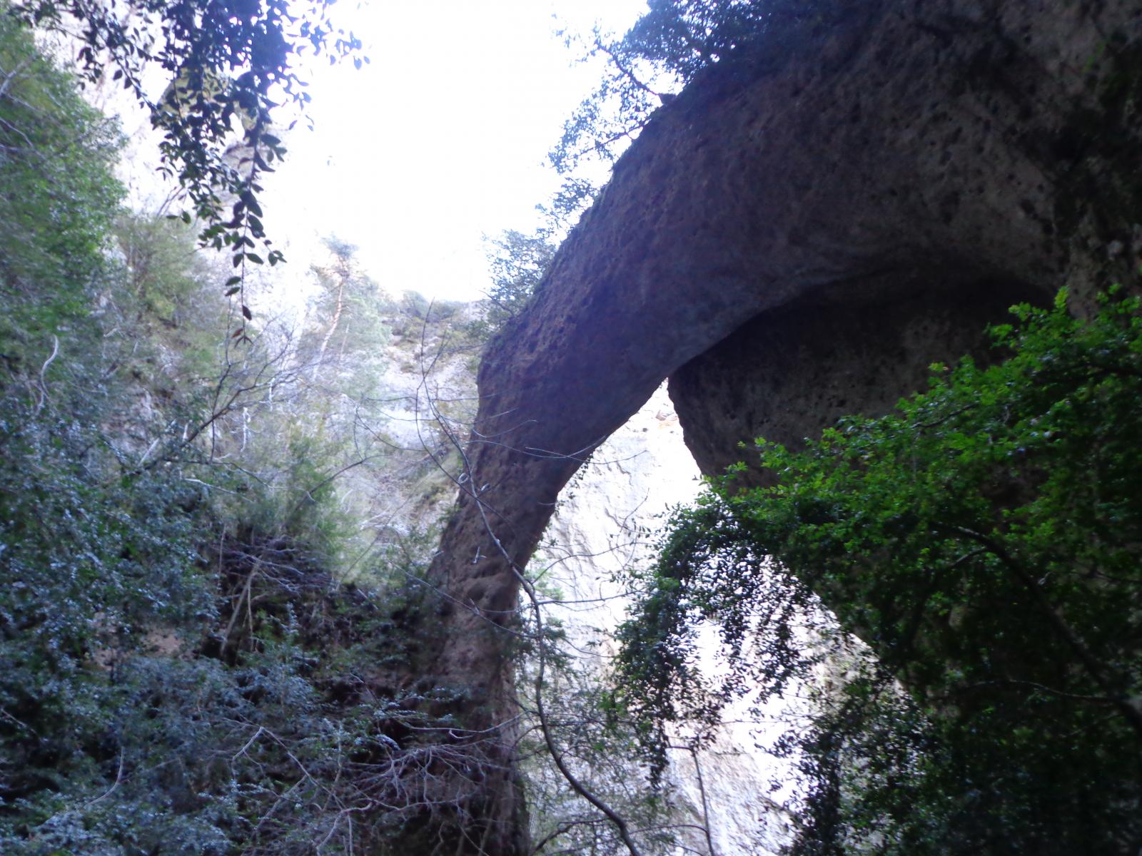 Une merveille de Mère Nature